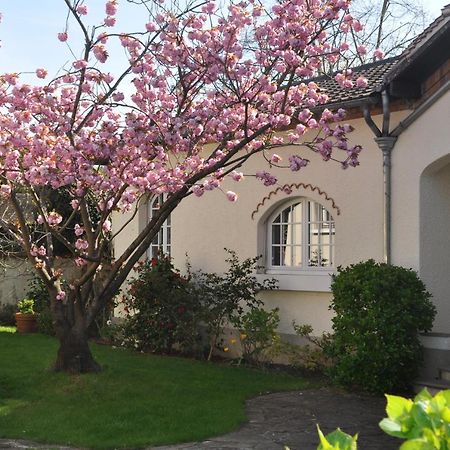 Maison D'Hotes Paris Riverside Saint-Maur-des-Fossés Zewnętrze zdjęcie