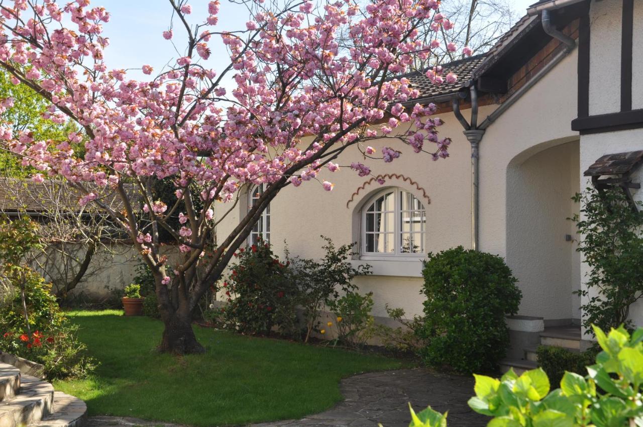 Maison D'Hotes Paris Riverside Saint-Maur-des-Fossés Zewnętrze zdjęcie